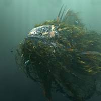 Little film: “Jonah” will be screened at Future Shorts Festival. Short-film festival holds Tokyo edition