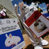 Testing time: Activist protest outside the headquarters of Brazil’s Ministry of Science in March. The posters read in Portuguese “Free yourself of Cruelty.” Animal activists handed tens of thousands of signatures to the Minister of Science calling for a ban on animal testing for cosmetics; the state of Sao Paulo already has such a ban but Japan has yet to take such a step. Japan urged to make its cosmetics 'cruelty-free'