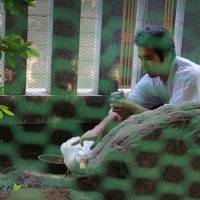 Abe, the son of a high priest at a local temple, feeds his pet duck canned sweet corn. Not ducking tradition in Higashi-Ueno