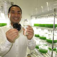 Neo Morgan Laboratory CEO Tomohiro Fujita poses at his lab with a bottle of algae oil and dried algae. Behind him are algae cultures that can be processed into oil. Algae underfunded in energy hunt