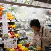 A customer shops for vegetables at an Aeon Co. supermarket in Chiba Prefecture on April 1. The government is considering the introduction of a new labeling system for foods aimed at health-conscious shoppers. Middle road sought for health food labels