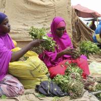 A woman and her daughter arrange branches of khat into small bundles in Mogadishu on Aug. 9. Grown on plantations in the highlands of Kenya and Ethiopia, tons of the leafy stimulant, dubbed “the flower of paradise” by its users, are flown daily into Mogadishu for distribution to markets across Somalia. Somali users of amphetamine-like 'paradise flower' khat enjoy low prices after Britain bans its import