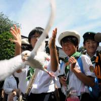 Children release doves to pray for the war dead at Yasukuni Shrine in Tokyo on Friday to mark the 69th anniversary of Japan's surrender in World War II. Anniversary of WWII surrender met with varied reaction