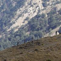 Algerian soldiers patrol a mountain near the village of Ait Ouabane, where a Frenchman was kidnapped by militants on Sunday, southeast of Algiers on Tuesday. Algerian military and police set up checkpoints and sent troops into the mountains to look for the Frenchman, whom the militants threatened to execute over France's intervention in Iraq. Algerian troops search for kidnapped Frenchman