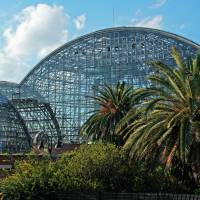 The Yumenoshima Tropical Greenhouse Dome is heated by burning trash. Yumenoshima: Tokyo's past trash packed into pleasure