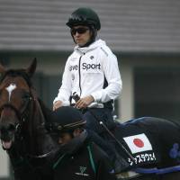 Raiders of the lost Arc: Yuichi Fukunaga sits atop Just A Way on Wednesday in Chantilly, France, after a training session ahead of Sunday’s Prix de l’Arc de Triomphe. Fukunaga eyes Arc glory