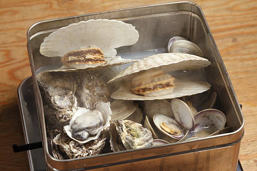 Kakigoya