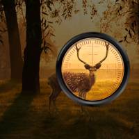 Call to arms: Hunters dwindle as animal numbers explode