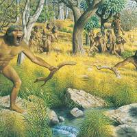 A group of Australopithecines Pre-humans' hands suggest tool use 3.2 million years ago