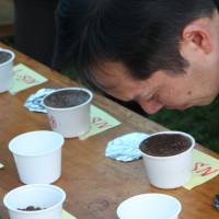 Aromatic: Naomi Nakahira, of Ueshima Coffee Co., evaluates coffees produced from Belete-Gera Forest coffee beans. Bullet train black gold awaits Ethiopian roasters