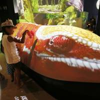 Children touch a panther chameleon projected on a white object on Aug. 19, 2013, during the opening of the new visual entertainment museum Orbi Yokohama in Yokohama. Scientists studying the same species of lizard said Tuesday they were surprised that nanocrystals were behind the creature's colorful changes. Chameleon's color magic revealed: nanocrystals