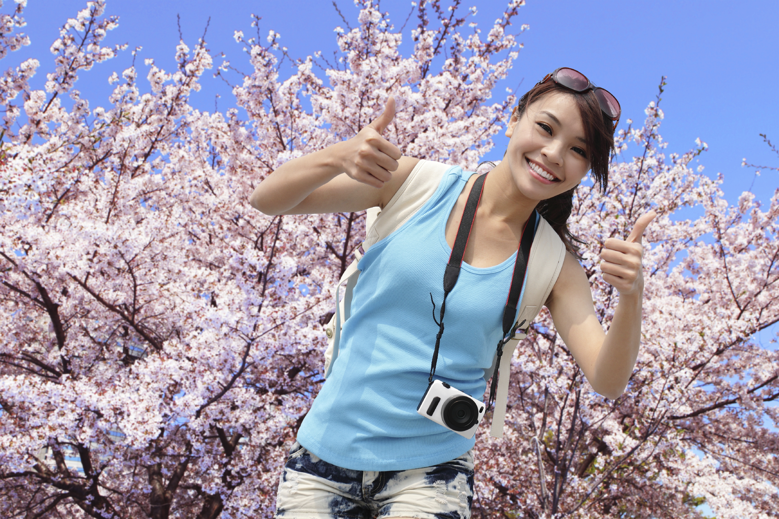 courtship vs dating Courtship vs dating photo 26