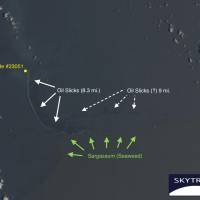 This June 21 2014 satellite photo from NASA, annotated by SkyTruth, shows an oil slick extending in an arc at least 8.3 miles (13.4 km) long from a well site at a Taylor Energy Co. platform that was toppled in an underwater mudslide triggered by Hurricane Ivan’s waves in September 2004. Secrecy shrouds decade-old oil spill