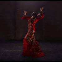 Maria Pages Flamenco dancer Maria Pages claims Carmen's story for women everywhere