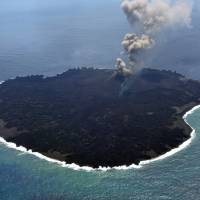 This March 25 handout picture taken by the Japan Coast Guard shows the newly created Nishinoshima Island in the Ogasawarachain, 1,000 km south of Tokyo. The brand new island offers scientists a rare opportunity to study how life begins to colonize barren land — helped by rotting bird droppings and hatchling vomit. Researchers say bird waste will be the secret ingredient to kickstart Mother Nature's grand experiment on what is a still active volcano that only poked its head above the waves in November 2013. Japan's new volcanic isle offers a blank canvas for life