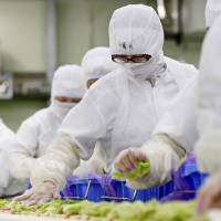 Workers on a sandwich production line place ingredients at a Prime Delica Co. factory in Ibaraki Prefecture in 2013. The facility makes food for 7-Eleven stores operated by Seven & I Holdings Co. Pricy beef bowls show how to beat deflation