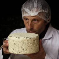 In this Jan. 21, 2009, file photo, Bernard Roques checks a Roquefort cheese as it matures in a cellar in Roquefort, southwestern France. On Thursday, researchers at Purdue University announced findings that show people have a distinct and basic taste for fat, and propose expanding the taste palate to include it along with sweet, salty, bitter, sour and relative newcomer umami. The sense of fat: Scientists point to a distinct taste recognition