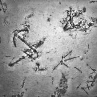 Debris from a shipwreck detected by Fugro Survey is seen on the Indian Ocean floor, nearly 4 km below the surface, off Australia's west coast. Have searchers' sonars missed the wreckage of Flight 370?