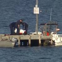 In this image taken from video, police carry a body in a bag and place it in on a stretcher on a jetty in Triabunna, off the Australian island state of Tasmania, on Saturday. A woman watched her father being mauled to death by a large shark on Saturday while the pair were diving, police said. Great white kills scallop diver off Tasmania as daughter watches