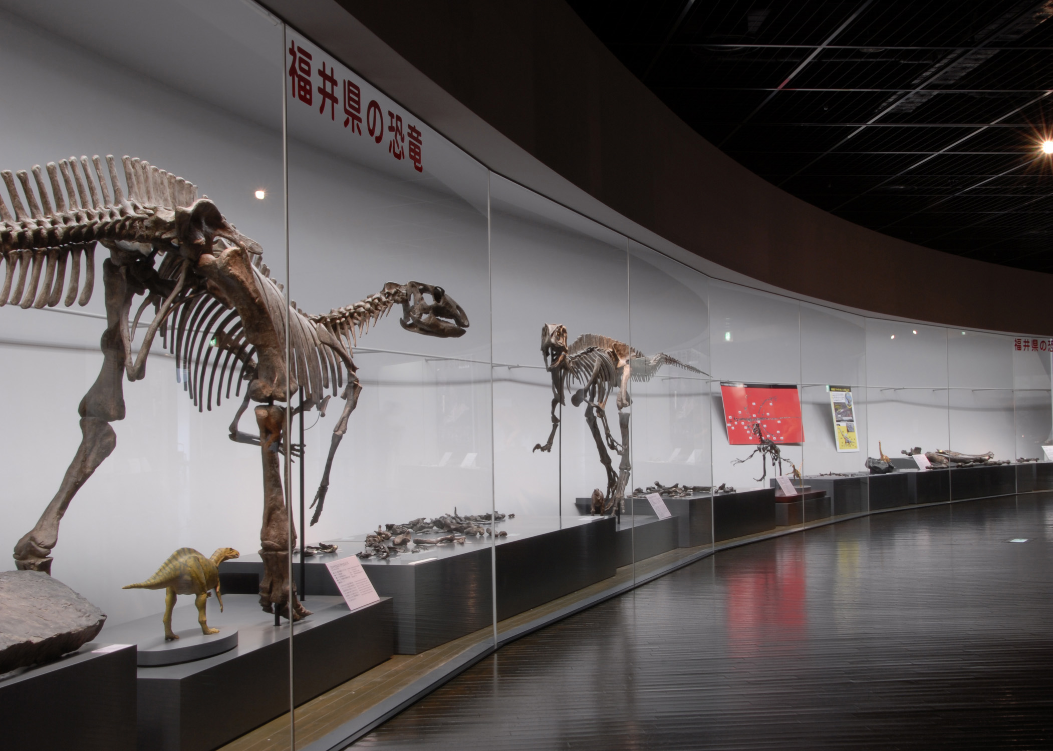 dinosauria museum
