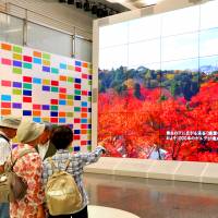 Visitors at NHK look at an 8K Super Hi-Vision display on Aug. 19 in Tokyo. Satellite broadcasting using 8K technology is expected to begin by 2018. Japan backs next-generation 8K technology ahead of 2020 Games