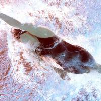 Katie Ledecky competes during the women’s 400-meter freestyle final at the world championships on Sunday. Ledecky off to golden start