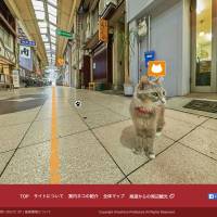 This handout picture released Thursday shows a Google-style street view, taken at the eye level of a cat, in Onomichi, Hiroshima Prefecture. Hiroshima eyes tourist boost with cat's-eye view of city streets