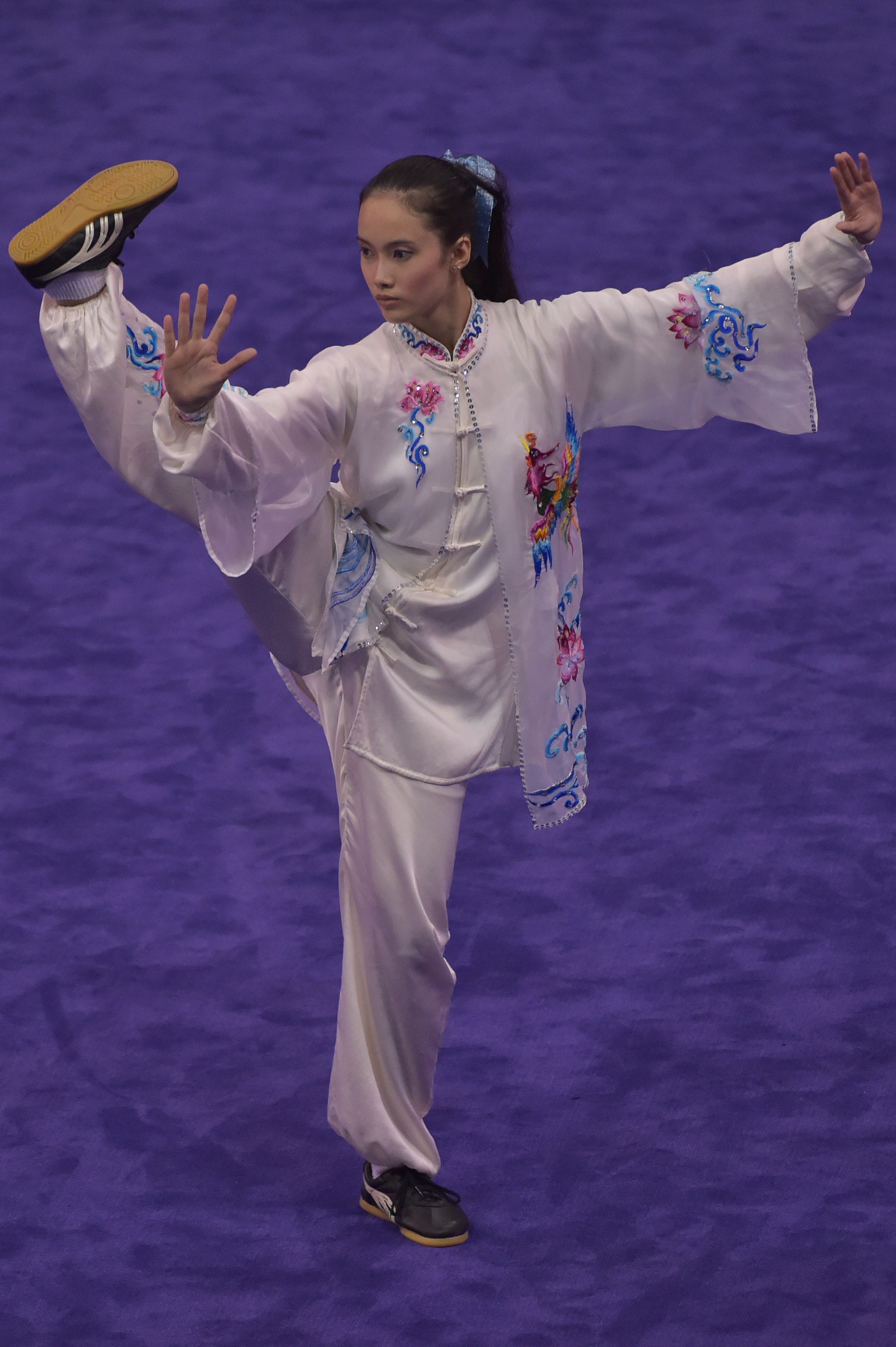 martial arts wushu fu kung olympics olympic northern artists southern difference between glory dream stances styles japan keywords championships than