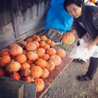 Down-home hospitality: Hostess Ai Igarashi prepares meals for guests with seasonal produce, such as the Utsusawa pumpkins grown local farms. Happiness is a warm farm: How home cooking is reviving rural Yamagata