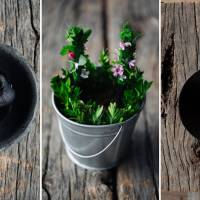 Some of the dishes Guzman has created include (from left) a puree of rock plants carefully formed to look like an actual rock; sea sticks — bread sticks dipped in squid ink and covered with edible flowers and herbs; and a tres leches dessert with sheep, cow and goat milk. Chef Rodolfo Guzman rediscovers his roots