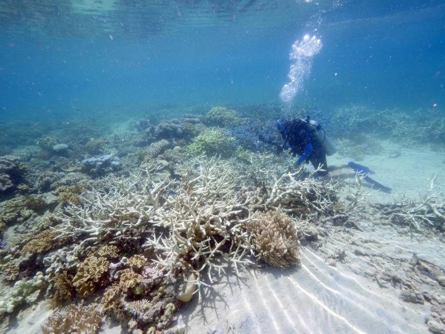 Environmental Issues Of Great Barrier Reef