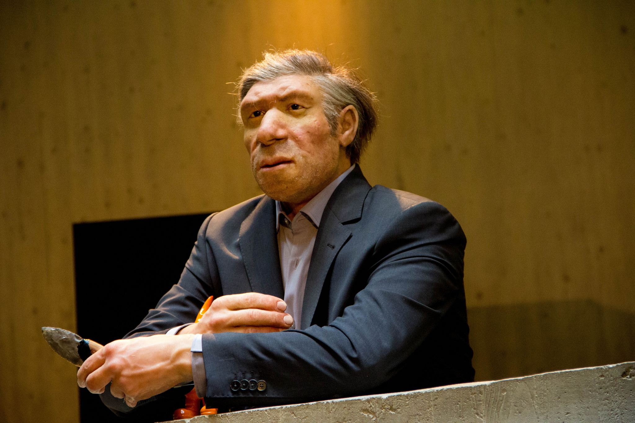 rethinking neanderthals There has long been debate among scientists regarding how homo sapiens and neanderthals compared in terms of their cognition and intelligence. rethinking neanderthals There has long been debate among scientists regarding how homo sapiens and neanderthals compared in terms of their cognition and intelligence.