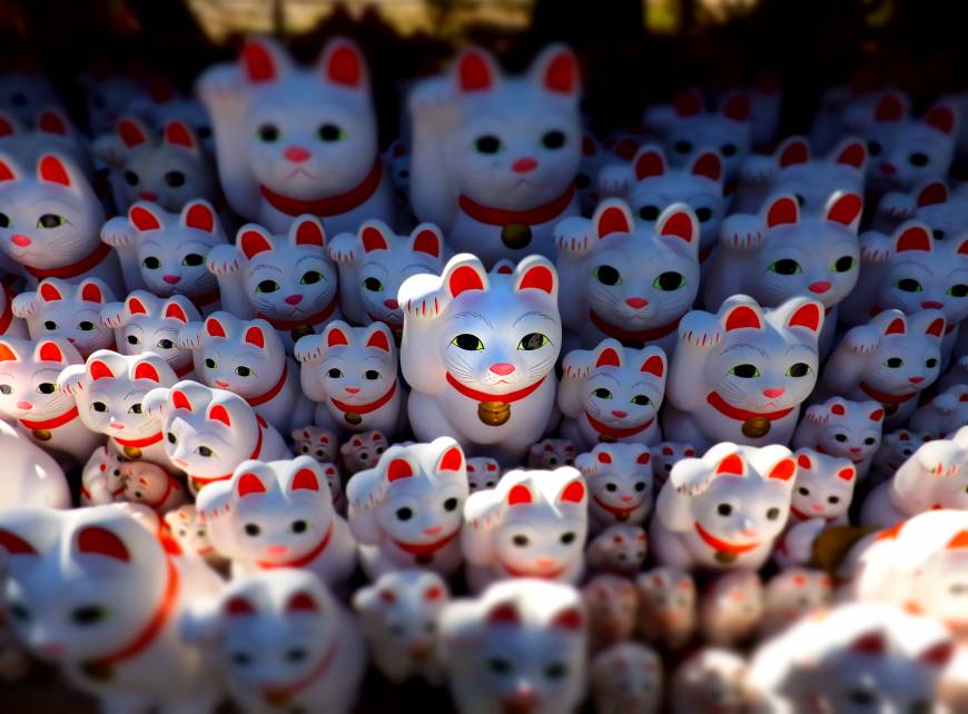 Maneki neko cat ornaments are arranged at Gotokuji Temple in Tokyo