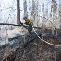 A member of Wildfire Management Alberta's Wild Mountain Unit out of Hinton hoses down hotspots in the Parsons Creek area of Fort McMurray, Alberta, May 6. U.S., South African firefighters arrive to help combat Alberta inferno as oil sands workers trickle back
