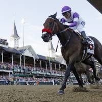 Nyquist, being ridden by Mario Gutierrez, races to victory at the Kentucky Derby on May 7. Kentucky Derby winner Nyquist sick, won't run in Belmont Stakes