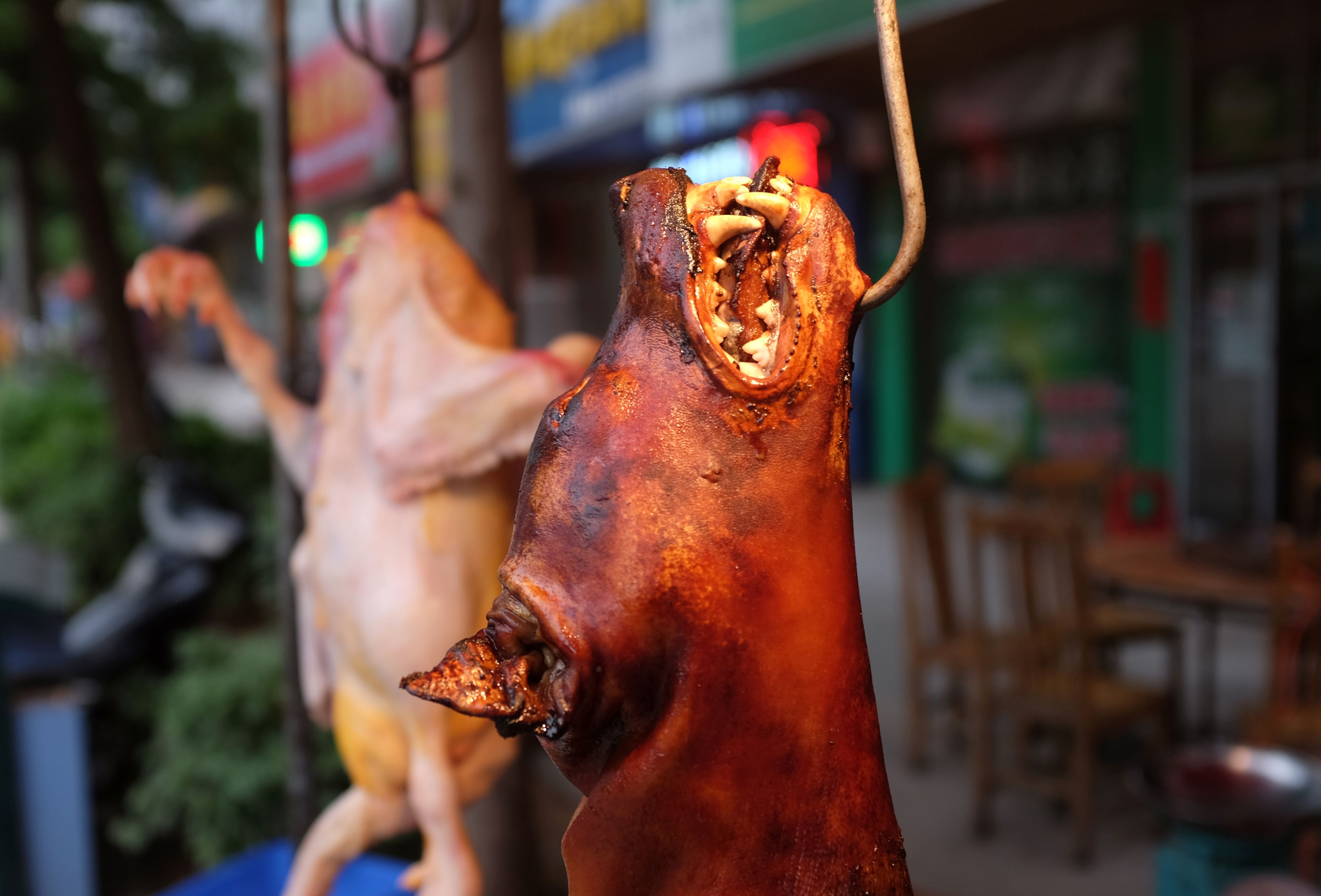 Foreign protesters' bark unleashes Chinese dog eaters' bite The Japan