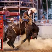 A man competes in the saddle bronc competition at the third performance of the West of the Pecos Rodeo on Friday in Pecos, Texas. Emboldened by Brexit, U.S. secessionists in Texas are keen to adopt the campaign tactics used to sway the British vote for leaving the European Union and are demanding Texit comes next. Brexit leaves U.S. secessionists hankering for 'Texit'