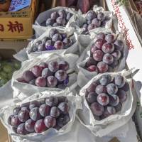 Grapes are one of the fruits being considered for export from Japan to Southeast Asian countries. Yamanashi, Shizuoka look to partnership in Southeast Asia push