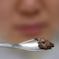 Brown gold: An employee holds a spoon filled with cocoa mass, made from Ogasawara cocoa beans, at a Hiratsuka Confectionery Co. factory in Saitama Prefecture. Why Japanese will pay a fortune for luxury chocolates