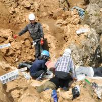 Anthropologists work at a dig site that contains human bones dating from as far back as 24,000 years ago at Ishigaki Island’s Shirahosaonetabaru cave in Okinawa Prefecture on Saturday. Ishigaki Island may harbor biggest Paleolithic ruins in East Asia