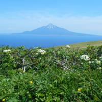 A mountain on Rishiri Island can be viewed from a trekking course on Rebun Island. 71 of Japan's remote islands to get government revitalization advisers