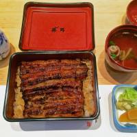 Unaju (grilled eel on rice) at Unagi Fujita in Shirokanedai Unagi Fujita: The lowly eel comes up in the world