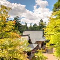 Up in the trees: Jingoji Temple buildings peek through the summer leaves. When Kyoto is overrun with tourists, head for the hills