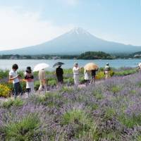 Tourists view Lake Kawaguchi in the town of Fujikawaguchiko, Yamanashi Prefecture, in this 2010 file image. Muslim hotel opens at Mount Fuji beauty spot, but so far no bookings
