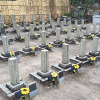 Gravestones in Matsuyama, Ehime Prefecture, mark the final resting place of Russian soldiers who were interned in Matsuyama during the Russo-Japanese War. Civility shown to Russo-Japanese War POWs lives on as Matsuyama's legacy