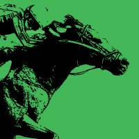 Inside Japan's racehorse breeding empire