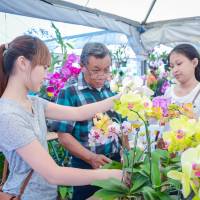 Expo showcases nation's agriculture