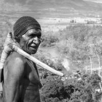 An elder warrior with a stone axe stands over the Baliem Valley in the central mountain range of Papua New Guinea in 1962. New research published Wednesday suggests that the genetic ancestry of people living outside Africa can be traced almost completely to a single exodus of humans from that continent long ago. But some native islanders of Papua New Guinea may also carry a tiny legacy from an earlier exit. Most human DNA tied to single Africa exodus up to 80,000 years ago