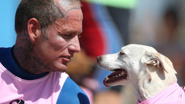 Ryan Rustan, 36, looks at his dog Sugar before it competes in the annual Surf City Surf Dog event on Tuesday in Huntington Beach, California. Man's best friend? It may be genetic