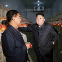 North Korean leader Kim Jong Un tours the Kosan Combined Fruit Farm in this undated photo released Sunday. South Korea questions U.N. membership of 'serial offender' North Korea